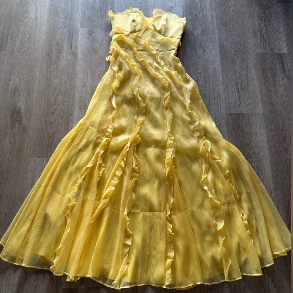 NWT! Hutch Yara Strapless Dress